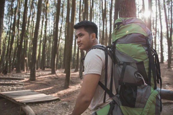 Escursionista - uomo escursioni nella foresta — Foto Stock