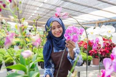 Çiçekçi Çiçek üzerinde çalışma