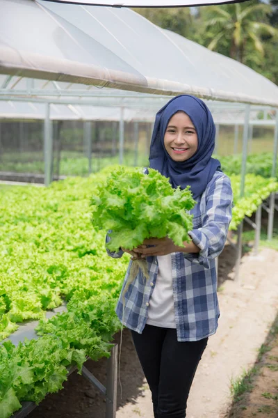 Kvinna med sallad stående i hydropohonic gård — Stockfoto