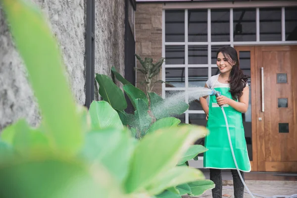 housewife watering plants