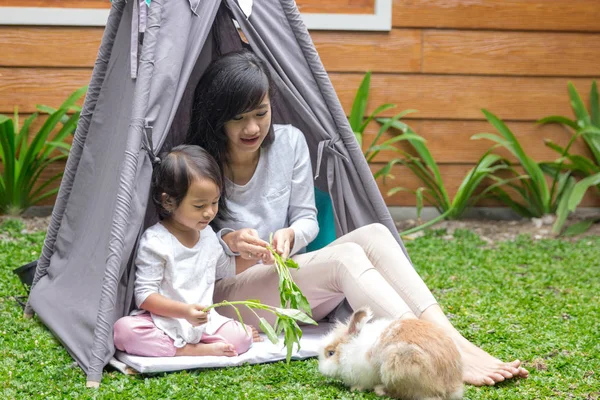 Madre e hija alimentando conejo —  Fotos de Stock