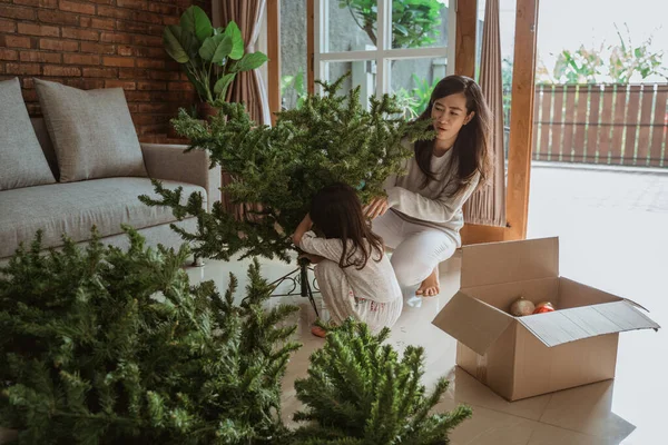 Asyalı anne ve çocuk yeni Noel ağacını kuruyorlar. — Stok fotoğraf