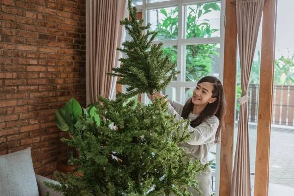 Mujer instalando árbol de navidad recién comprado — Foto de Stock