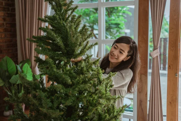 Nő telepítése újonnan vásárolt karácsonyfa — Stock Fotó