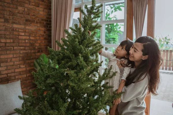 Család felállítása újonnan vásárolt karácsonyfa — Stock Fotó