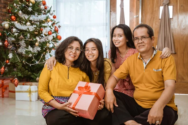 Glückliche Familie lächelnd zu Weihnachten — Stockfoto