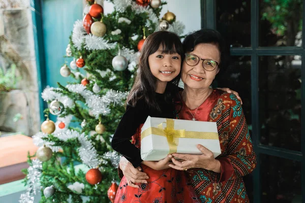 Çocuk büyükannesine sürpriz hediye veriyor. — Stok fotoğraf