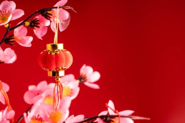 Yeni yıl aksesuarları dalda asılı duruyor.