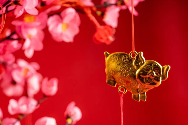 Chinese new year accessories hanging on the branch — 스톡 사진