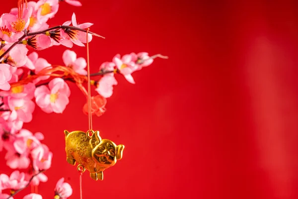 Китайські новорічні аксесуари висять на гілці — стокове фото