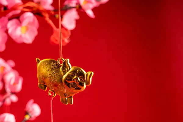 Chinese new year accessories hanging on the branch — Stock Photo, Image