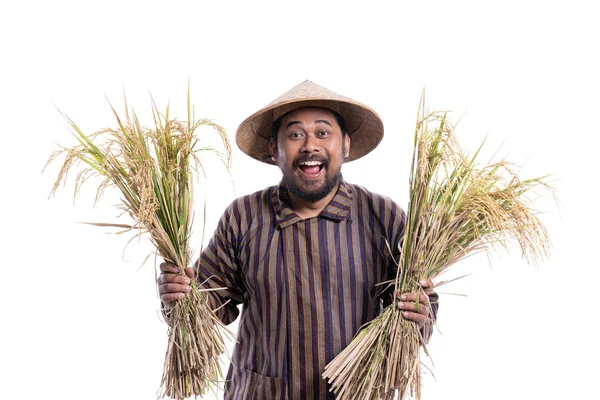 Счастливый взволнованный фермер, показывающий свой урожай риса — стоковое фото