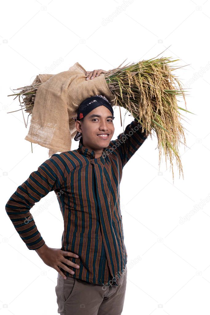 farmer with javanese traditional cloth holding rice grain