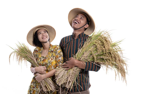 Beberapa petani melihat ke atas untuk menyalin ruang sambil memegang butir beras — Stok Foto