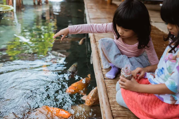 Duas meninas se divertindo alimentando peixes koi — Fotografia de Stock