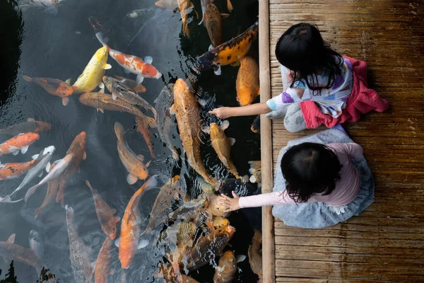 Två små flickor som har roligt utfodring koi fisk — Stockfoto