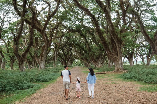 Pai, mãe e dois filhos caminhando juntos — Fotografia de Stock