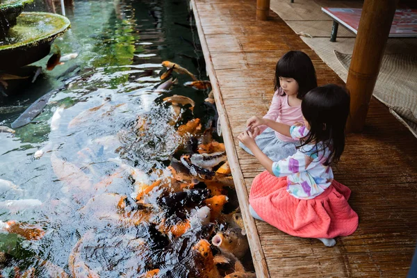 Två små flickor som har roligt utfodring koi fisk — Stockfoto
