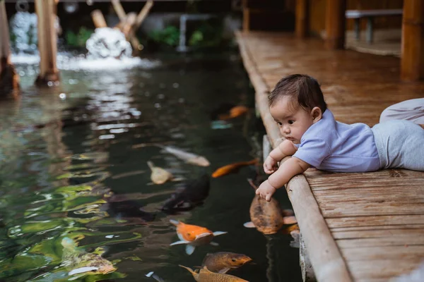 Lindo bebé miente mirando peces koi — Foto de Stock