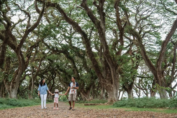 Pai, mãe e dois filhos caminhando juntos — Fotografia de Stock