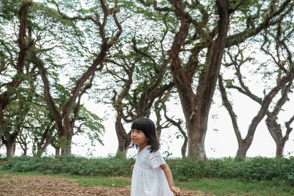 Niña corriendo por el bosque —  Fotos de Stock