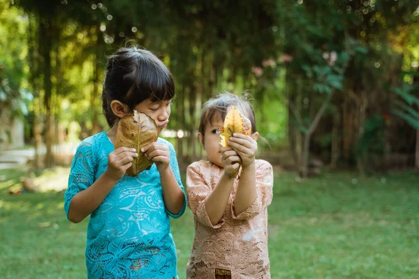 Deux jolies filles vêtues de kebaya javanais traditionnel jouant des feuilles séchées — Photo