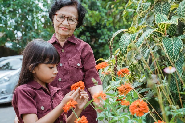 Asyalı küçük kız ve büyükannesi çiçek arıyor. — Stok fotoğraf