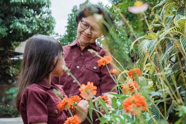 Cucu dan nenek mencari bunga — Stok Foto