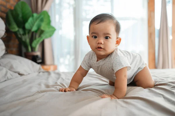 Asiático bebé aprender a gatear — Foto de Stock