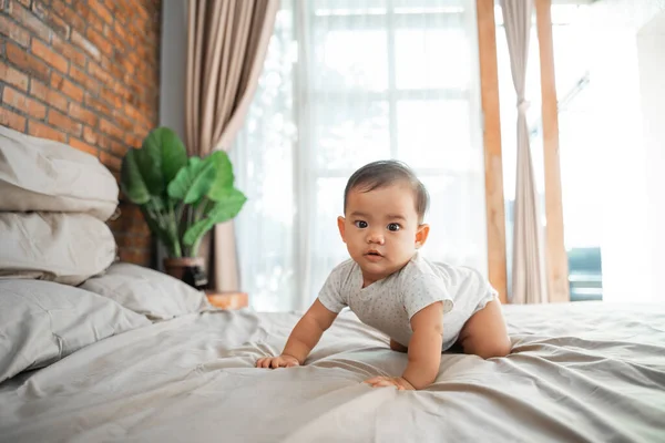 Asiático bebé aprender a gatear —  Fotos de Stock
