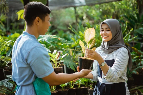 男性と女性の庭師が植物をチェックし — ストック写真