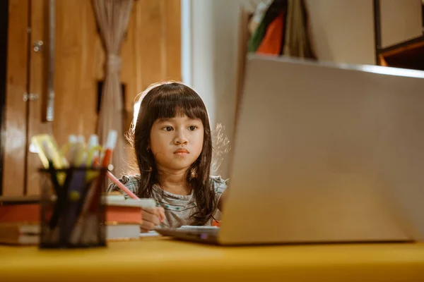 Young kid learning by using laptop — Stock Photo, Image