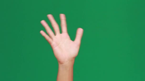 Hand Bye Bye Green Screen — Stock Video
