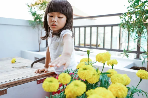 Asiatiska småbarn trädgårdsskötsel hemma — Stockfoto