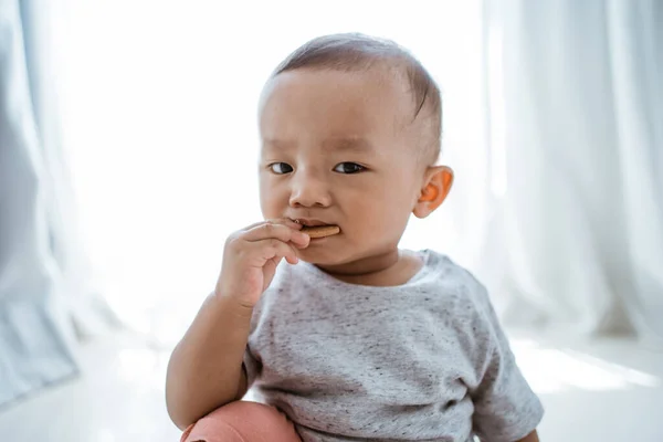 男孩吃饼干饼干 — 图库照片