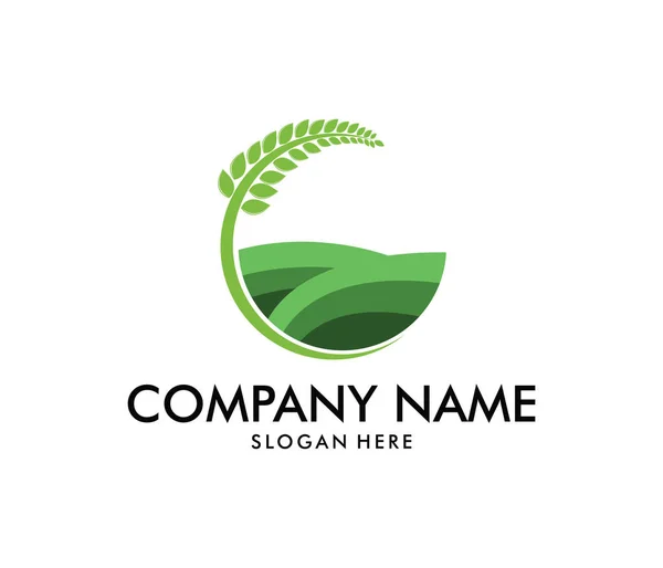 Desain logo vektor untuk pertanian, agronomi, pertanian gandum, pertanian pedesaan, panen alam - Stok Vektor