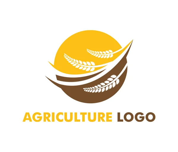 Diseño del logotipo del vector para la agricultura, agronomía, granja de trigo, campo de cultivo rural, cosecha natural — Archivo Imágenes Vectoriales