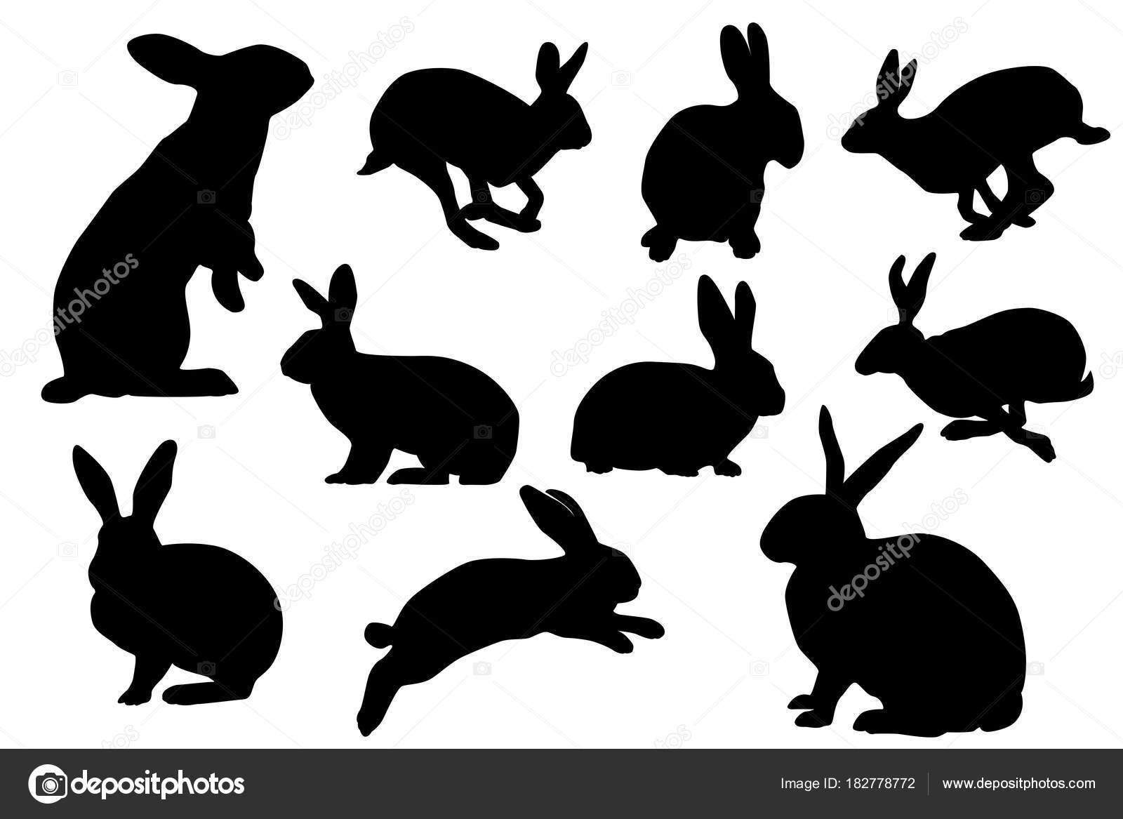 Hase Silhouette Vektor Set - Vektorgrafik: lizenzfreie Grafiken