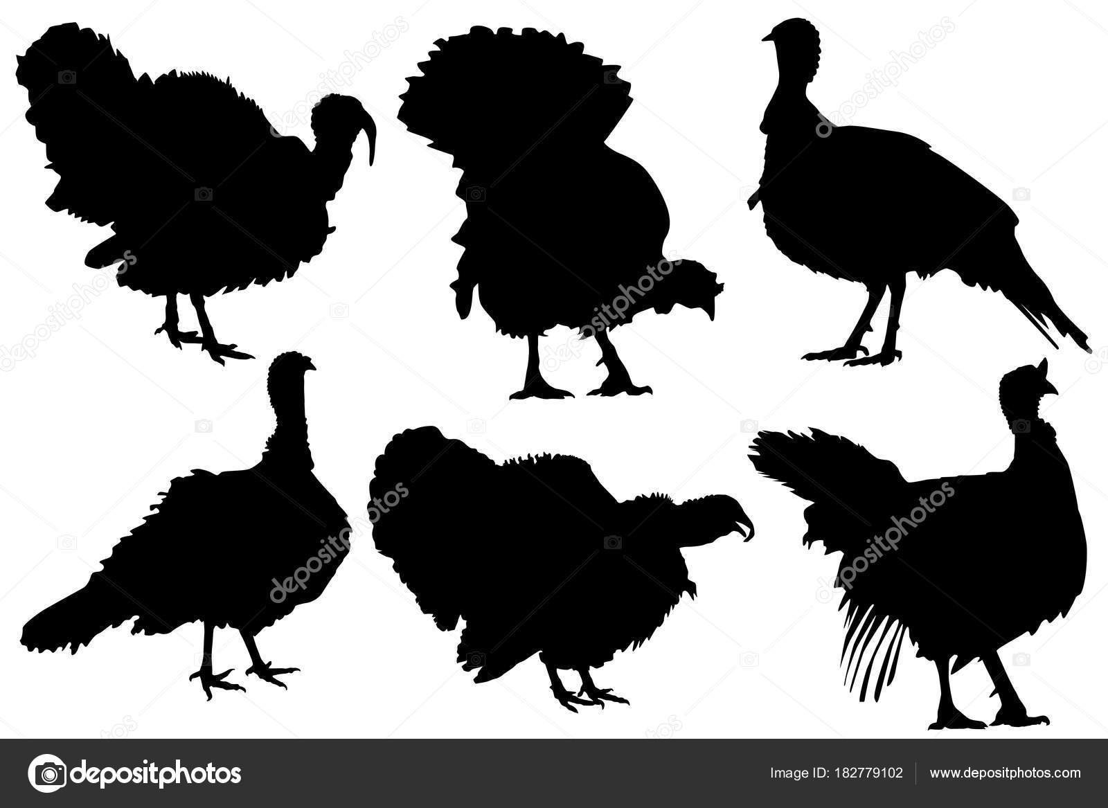 Download Detailed turkey silhouette vector set — Stock Vector ...