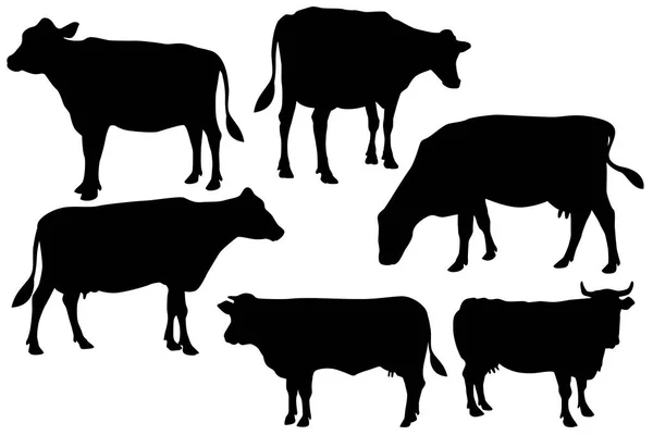 Vaca silueta vector conjunto — Vector de stock