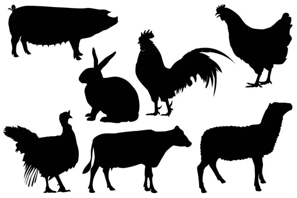 Векторный набор силуэтов домашнего скота домашней птицы — стоковый вектор