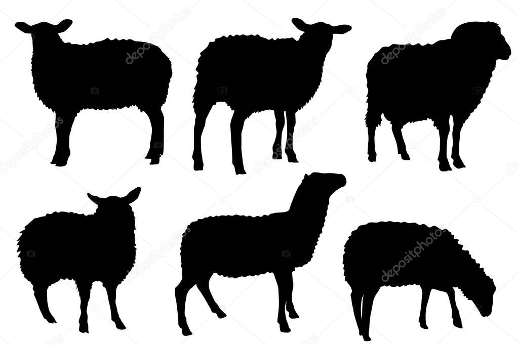 Download Pictures: lamb silhouette | Sheep lamb silhouette vector set — Stock Vector © great19 #182779136