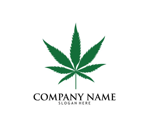 Medicinsk marijuana cannabis drog apoteket laboratorium vektor Logotypdesign — Stock vektor