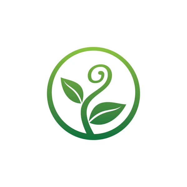 Yeşil tarım botaniği ve biyoloji bilimi araştırma vektör logosu tasarlamak için kıvırcık şekilli filizlenen bitki. — Stok Vektör
