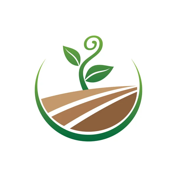 Uprawy roślin kiełków o kręconym kształcie dla zielonej botaniki rolniczej i biologii nauka badania wektor projekt logo — Wektor stockowy