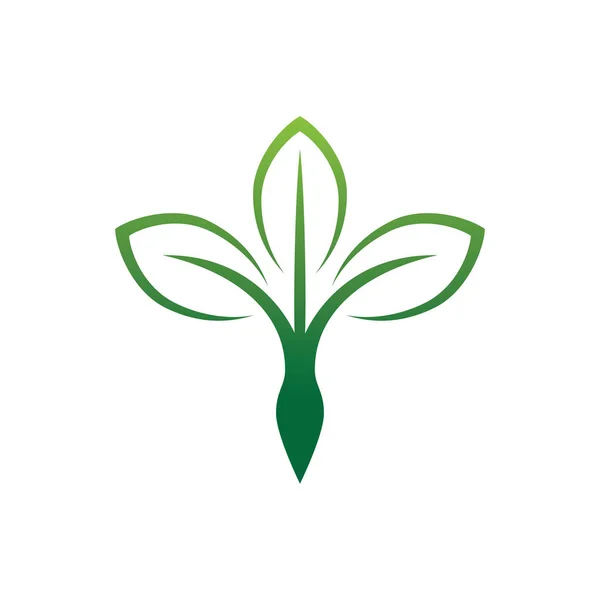 Abstrakte Frau Schönheitssalon, Empowerment und Kräuterergänzung Vitamin grünen organischen Vektor Logo-Design — Stockvektor