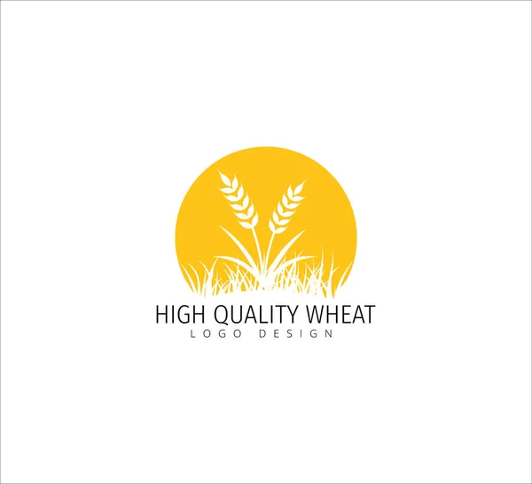 Wheat Grain Malt Agriculture Farm Food Based Vector Logo Icon — Stock Vector