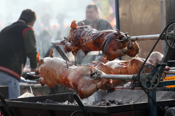 Piglets 밖으로 굽고입니다 Cheverme입니다 꼬치에 구운된 돼지고기입니다 불고기 — 스톡 사진