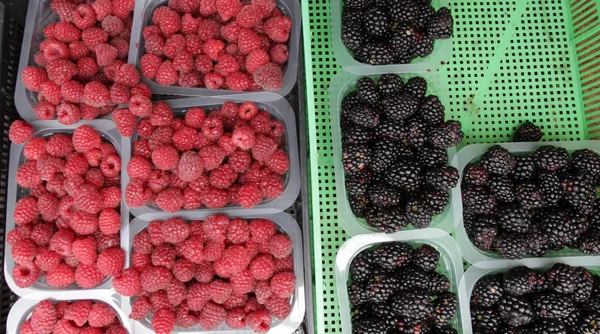 Frambuesa Mora Las Bayas Orgánicas Cesta Plástica Mercado Campesino Fondo — Foto de Stock