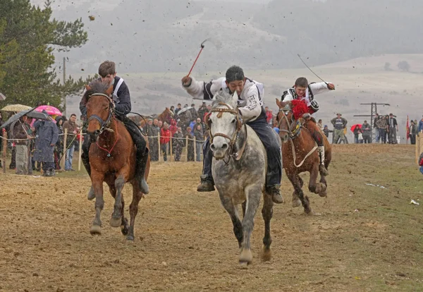 St. Todor s gün. Yarış atları ve atları çekme arabaları ağır günlükleri Todorov günde 7 Mart 2009 Bachevo, Bulgaristan ile. Dağın tepesinde atları ile geçit töreni. Atlar ve onların sahipleri eski ama kötü niyetli ve acı ritüel katılmak. 